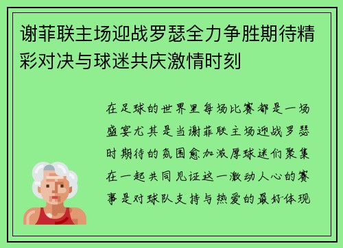 谢菲联主场迎战罗瑟全力争胜期待精彩对决与球迷共庆激情时刻