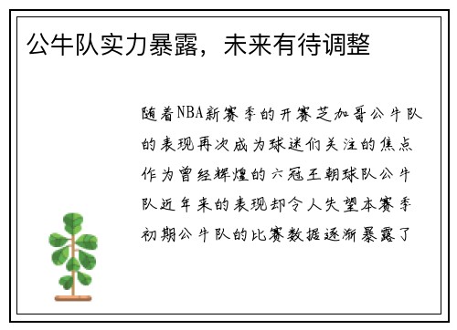 公牛队实力暴露，未来有待调整