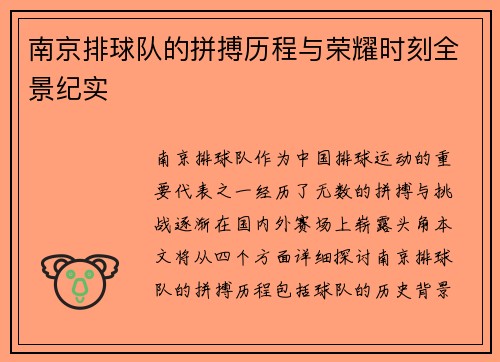 南京排球队的拼搏历程与荣耀时刻全景纪实