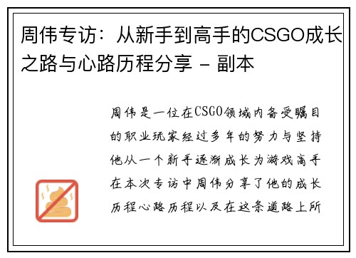周伟专访：从新手到高手的CSGO成长之路与心路历程分享 - 副本