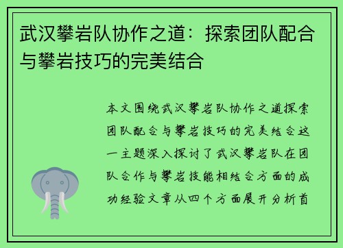 武汉攀岩队协作之道：探索团队配合与攀岩技巧的完美结合
